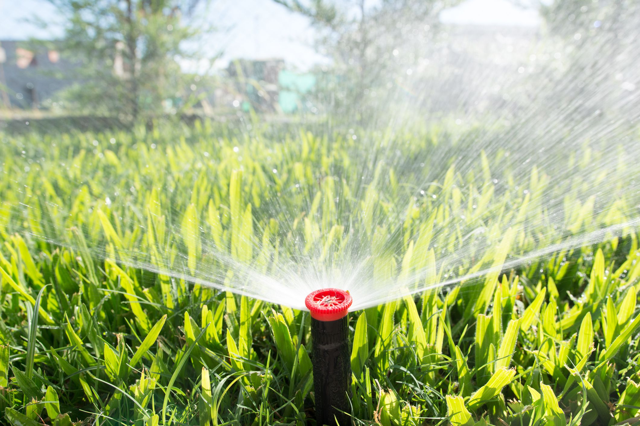 lawnsprinkler 154a65ac9aa24fb89ed6cab98dd55cbc