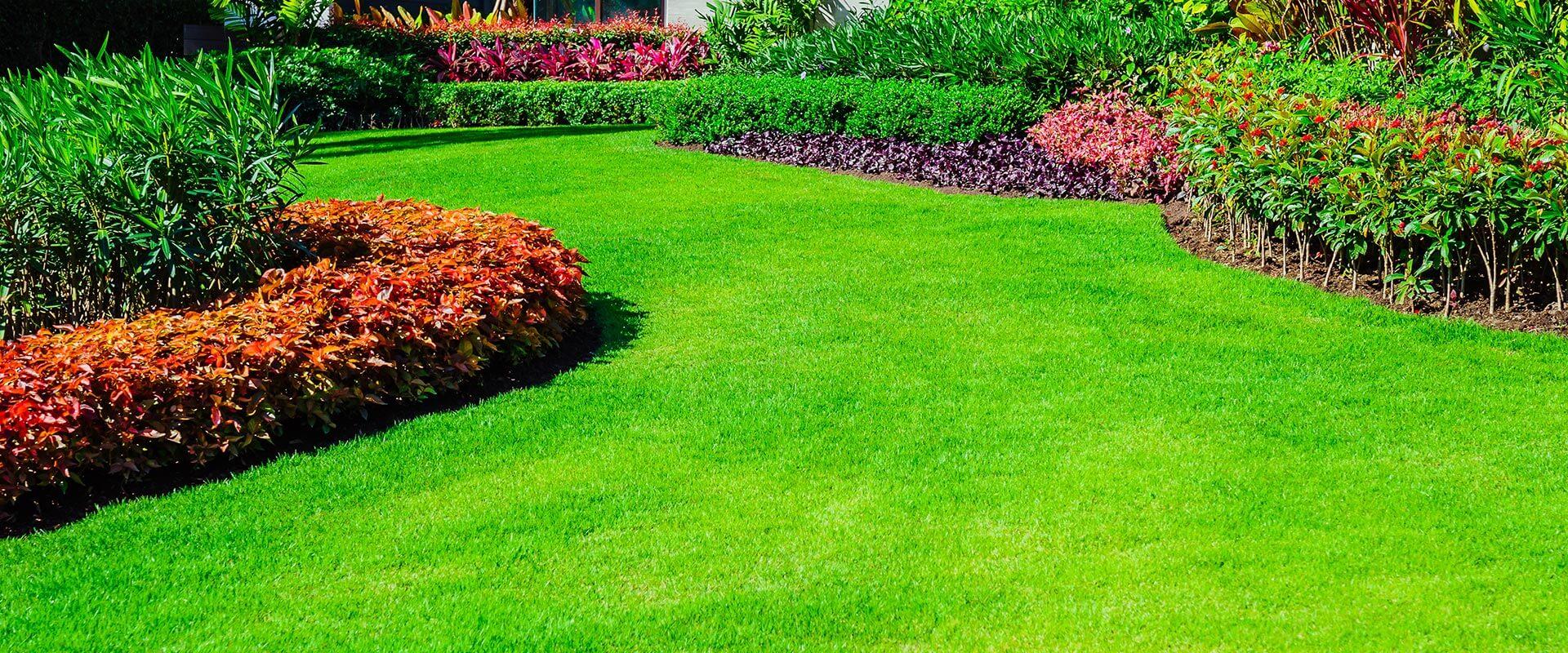 commercial lawn stock 1